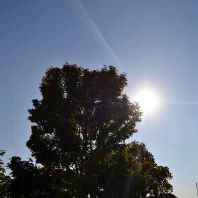 DSC_0133