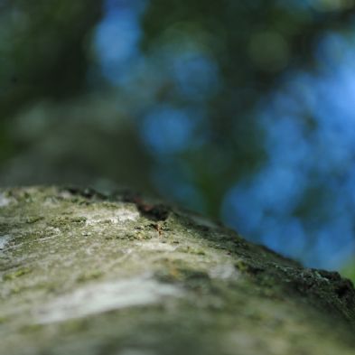 DSC_7646