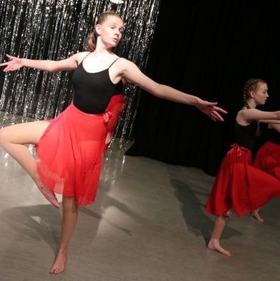 tsa_DanceShow117(3)