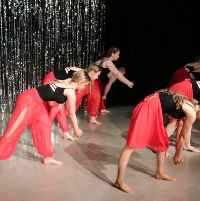 tsa_DanceShow123(3)