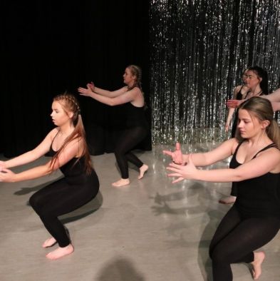 tsa_DanceShow84(2)