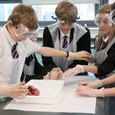 tsaScienceEnrichmentClub27