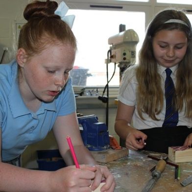 Y6Transition099