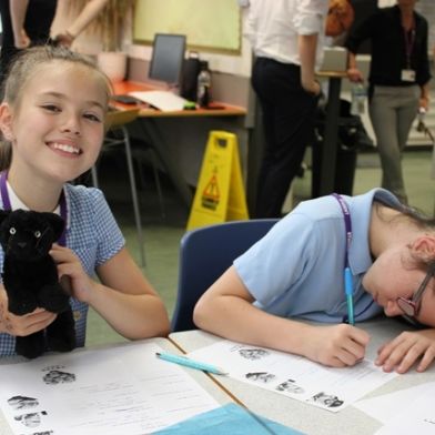 Y6Transition108