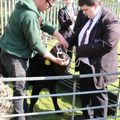 tsaMobileFarm127)