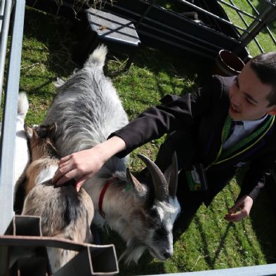 tsaMobileFarm139)