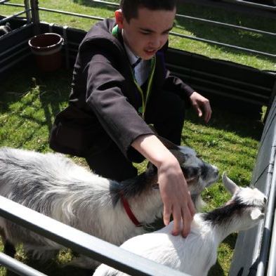 tsaMobileFarm144)