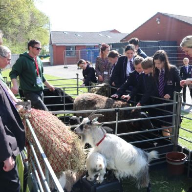 tsaMobileFarm156)