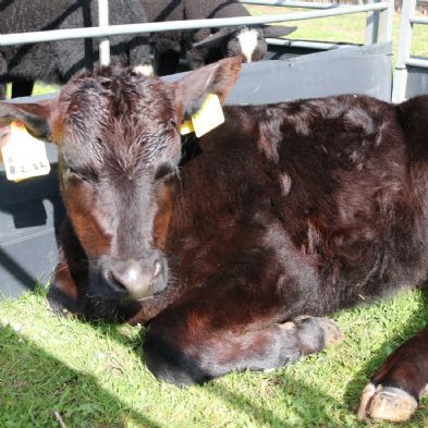 tsaMobileFarm21)