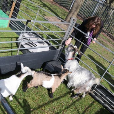 tsaMobileFarm24)