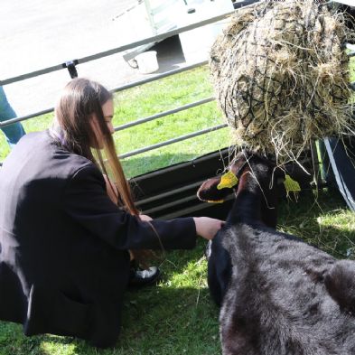 tsaMobileFarm52)