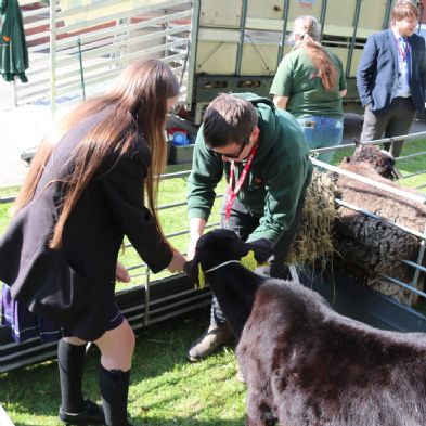 tsaMobileFarm64)