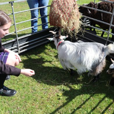 tsaMobileFarm93)