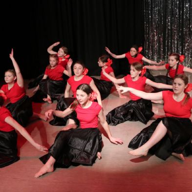 tsadanceshow202228)