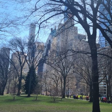tsaNewYorkTrip163)