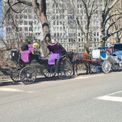 tsaNewYorkTrip164)