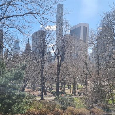 tsaNewYorkTrip165)