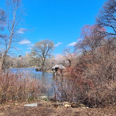 tsaNewYorkTrip170)