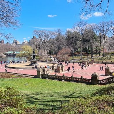 tsaNewYorkTrip172)