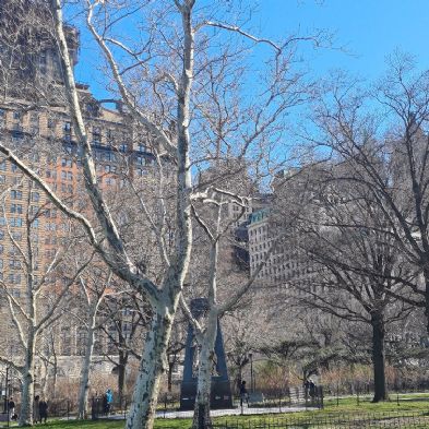tsaNewYorkTrip39)