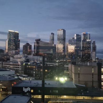 tsaNewYorkTrip4)