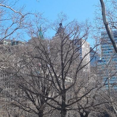 tsaNewYorkTrip40)