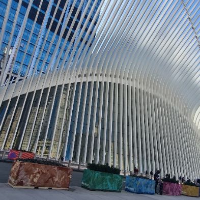 tsaNewYorkTrip78)