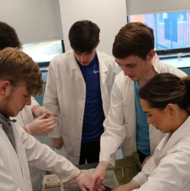 tsaYear12Biology25)1)