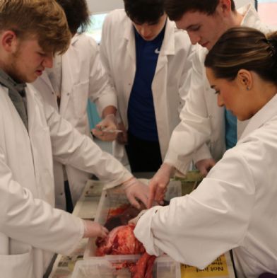 tsaYear12Biology26)1)