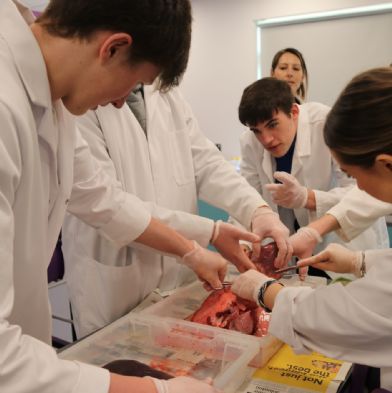 tsaYear12Biology40)1)