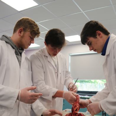 tsaYear12Biology48)1)