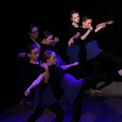 tsaDanceShow24108)