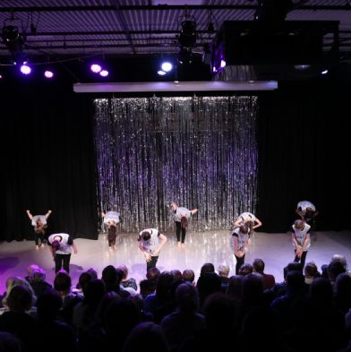 tsaDanceShow24112)