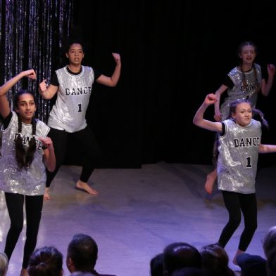 tsaDanceShow24119)