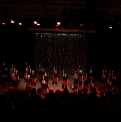 tsaDanceShow2412)