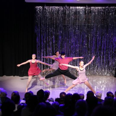 tsaDanceShow24181)