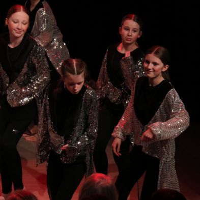 tsaDanceShow24204)
