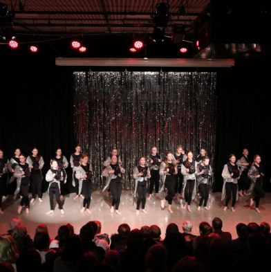 tsaDanceShow24208)