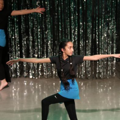 tsaDanceShow24211)