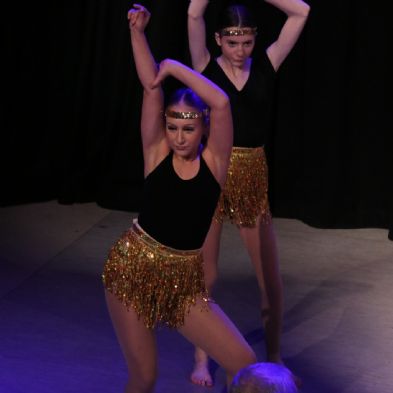 tsaDanceShow24227)