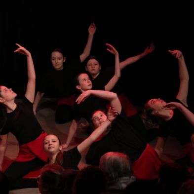 tsaDanceShow244)