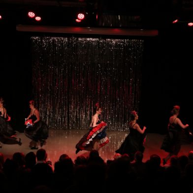 tsaDanceShow2458)