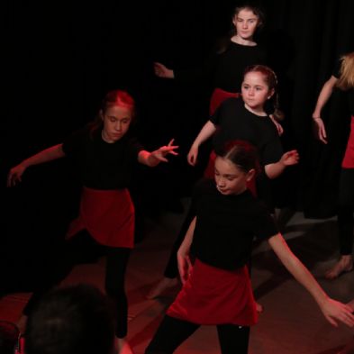 tsaDanceShow246)