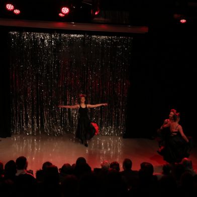 tsaDanceShow2461)