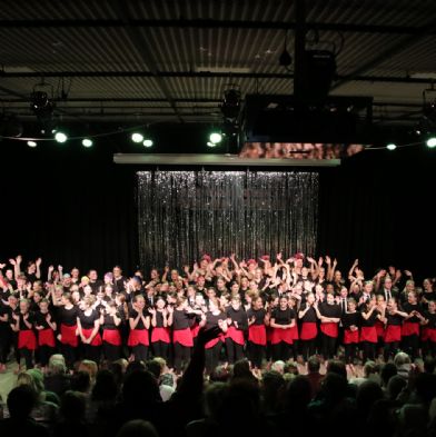 tsaDanceShow2473)