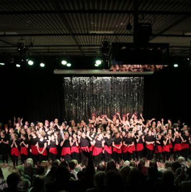tsaDanceShow2474)