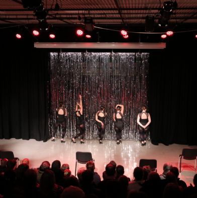 tsaDanceShow2476)