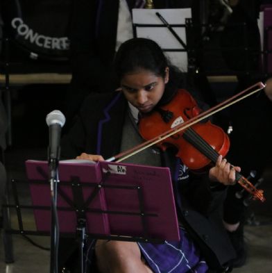 tsaSummerConcert202423)