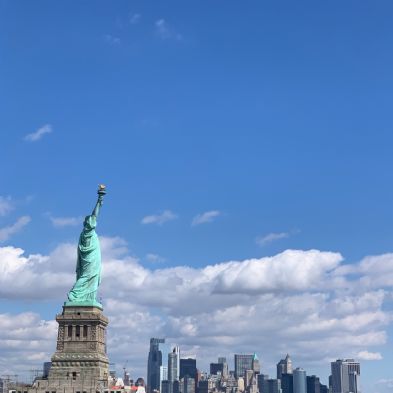 tsaNewYork202431)