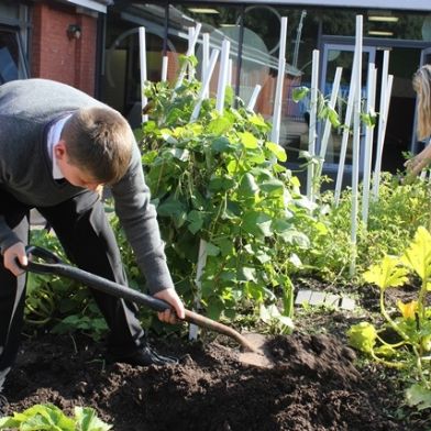 gardenclub08